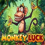 Monkey Luck